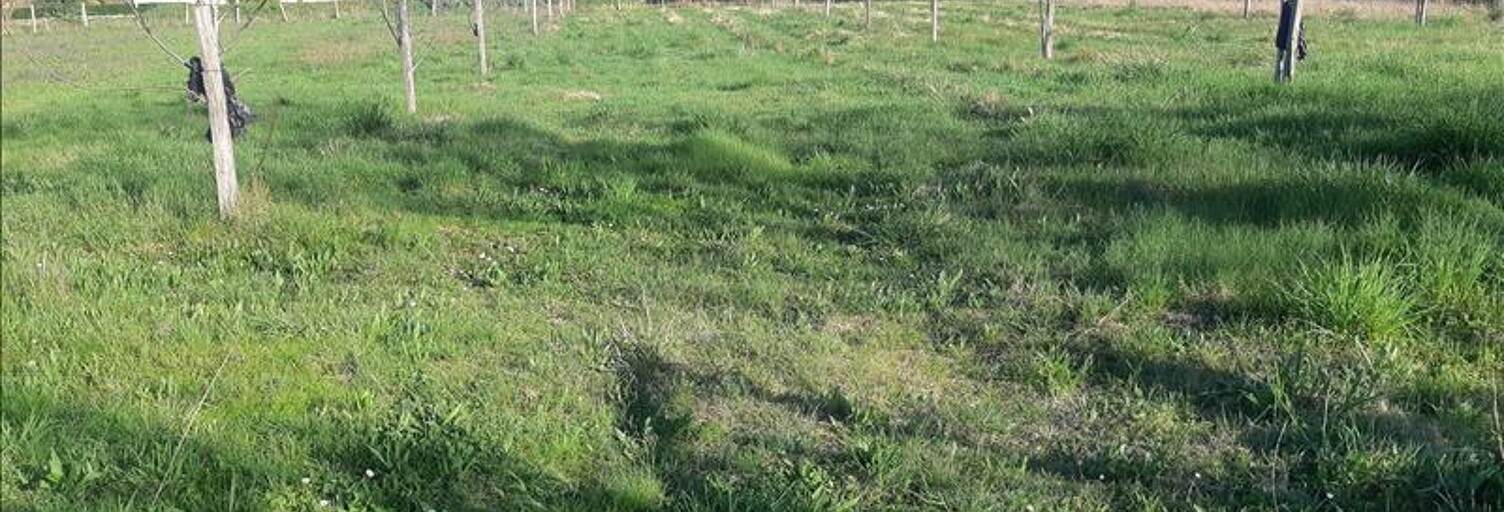 Terrain  6578 m² à vendre à Dégagnac (46340)