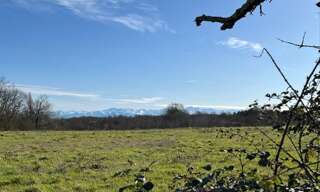 Terrain  23935 m² à vendre à Mirande (32300)