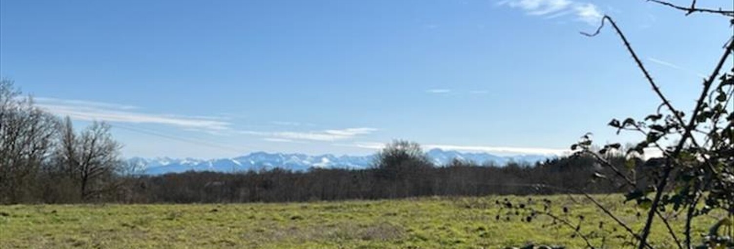 Terrain  23935 m² à vendre à Mirande (32300)