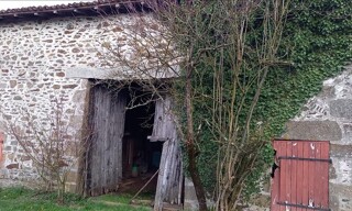 Photo N° 5