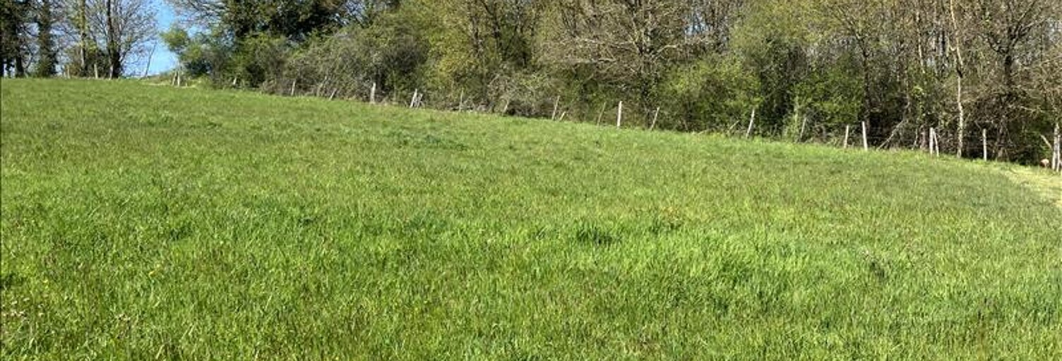 Terrain  2316 m² à vendre à Saillat-sur-Vienne (87720)