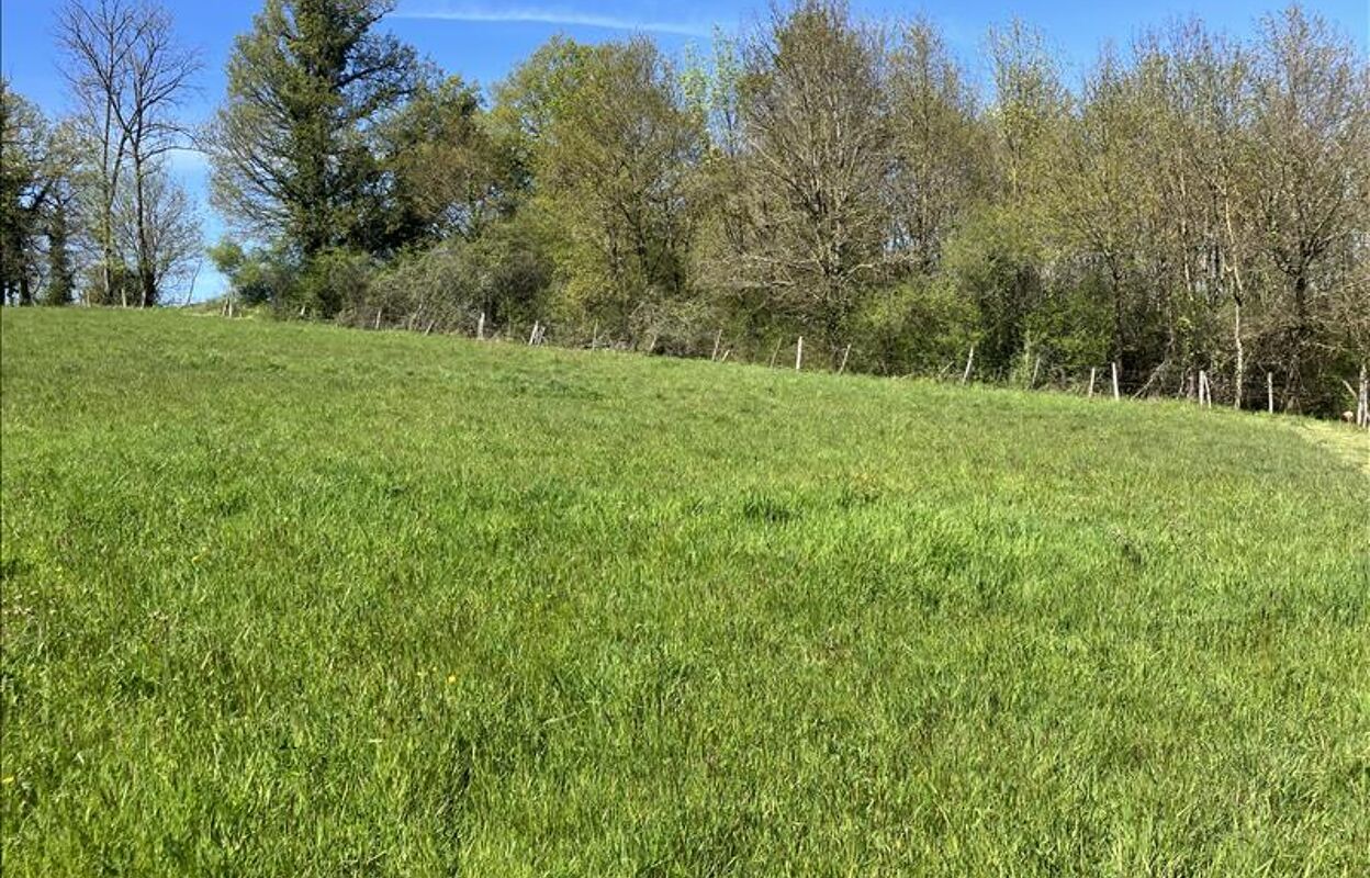 terrain  pièces 2316 m2 à vendre à Saillat-sur-Vienne (87720)