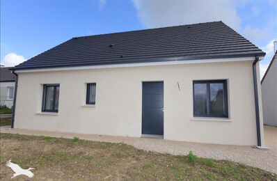 vente maison 186 375 € à proximité de Chouzy-sur-Cisse (41150)