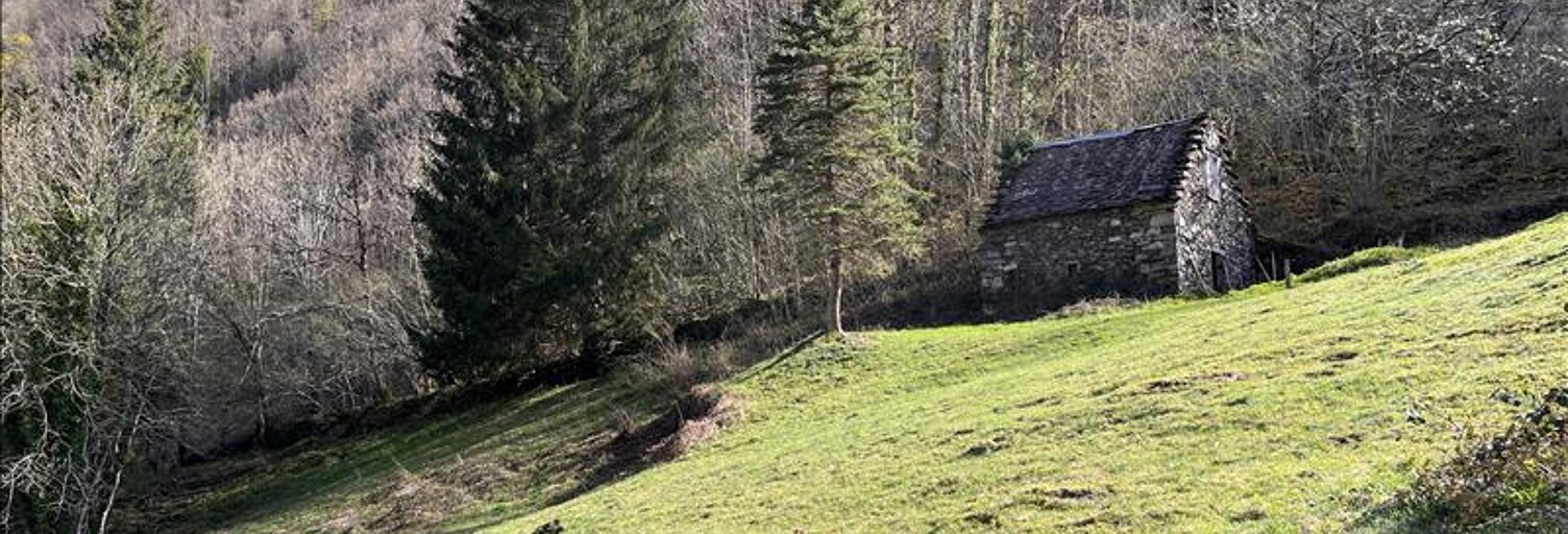 Maison 2 Pièces  m² à vendre à Le Port (09320)