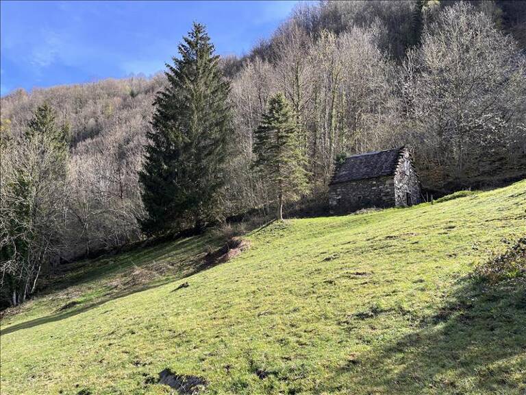 Grange de 2 pièces principales — photo 1