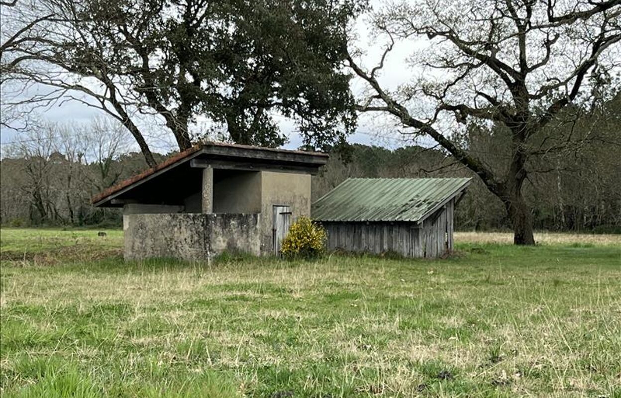 terrain  pièces 3090 m2 à vendre à Herm (40990)