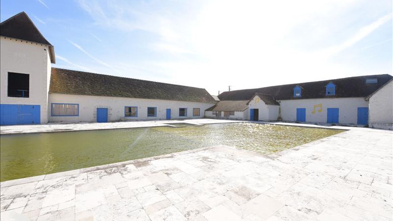 maison 10 pièces 700 m2 à vendre à Les Montils (41120)