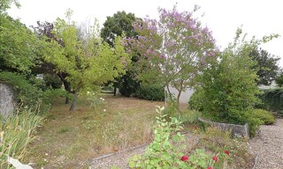 Photo N° 8