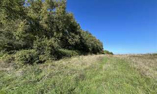 Terrain  3210 m² à vendre à Boisné-la-Tude (16320)