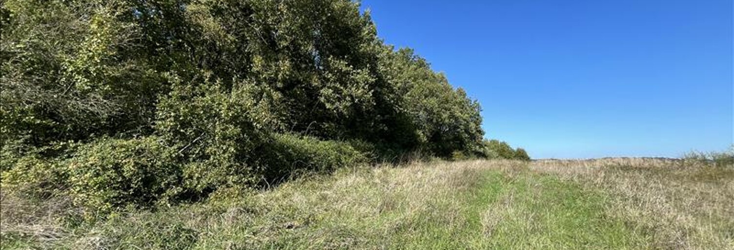 Terrain  3210 m² à vendre à Boisné-la-Tude (16320)