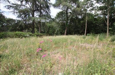 terrain  pièces 379 m2 à vendre à Bouguenais (44340)