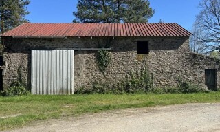 Photo N° 4