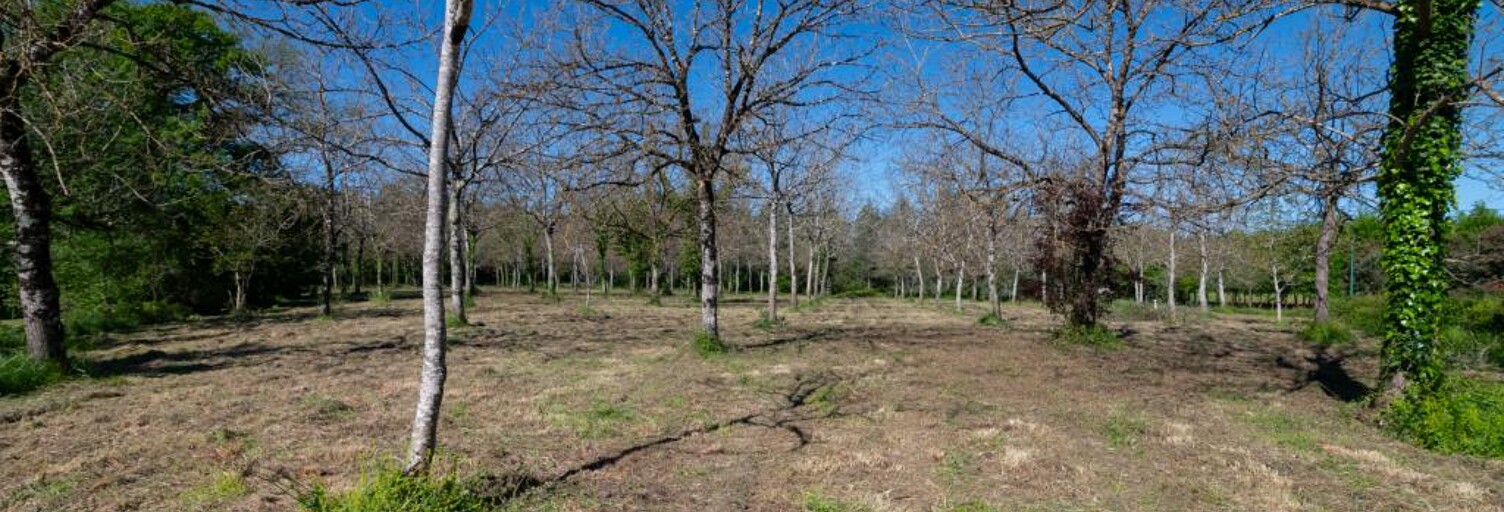 Terrain  10000 m² à vendre à Réans (32800)