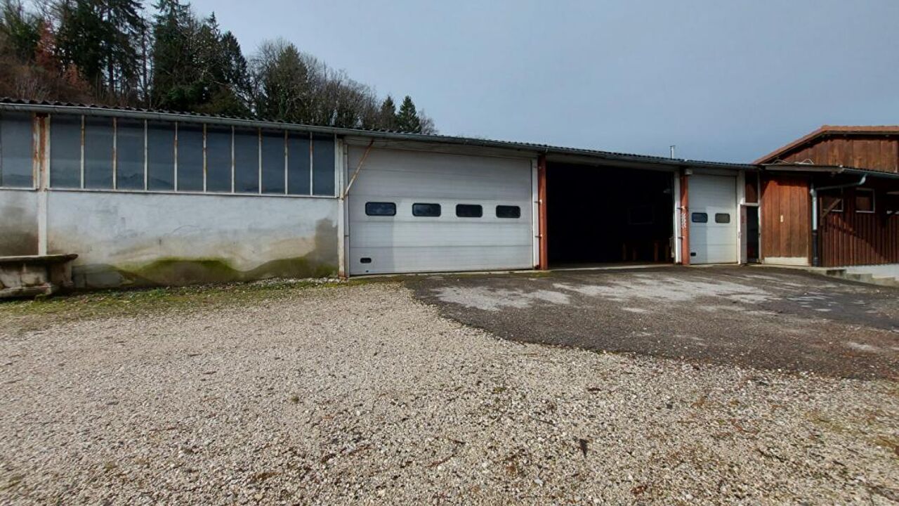 garage  pièces 140 m2 à louer à Saint-Jorioz (74410)