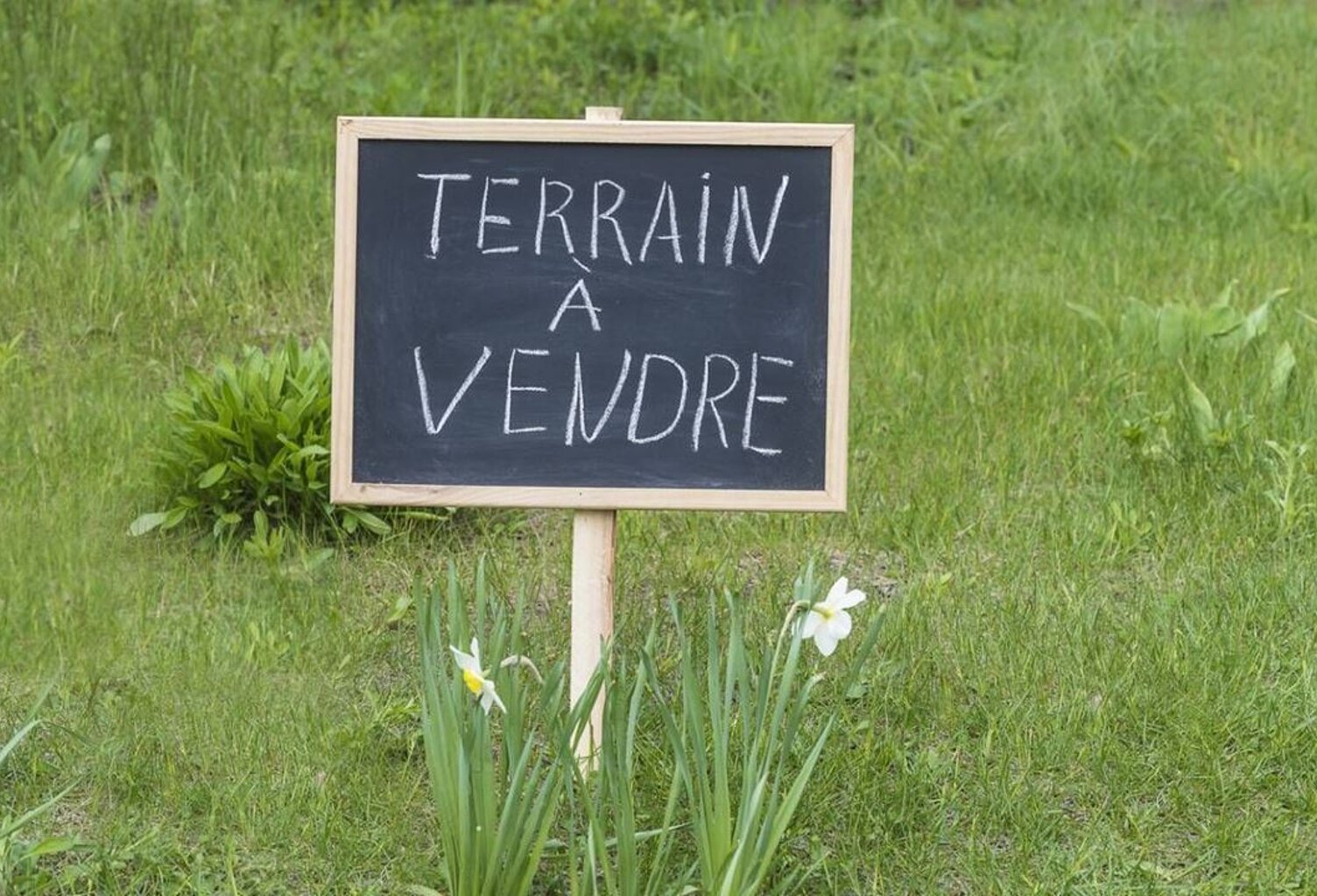 Terrain - 2278m ² — photo 1