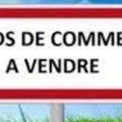 Commerce 6 pièces 88000 €