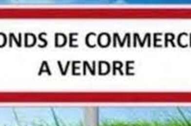 Commerce 6 pièces 88000 €