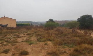 Photo N° 5
