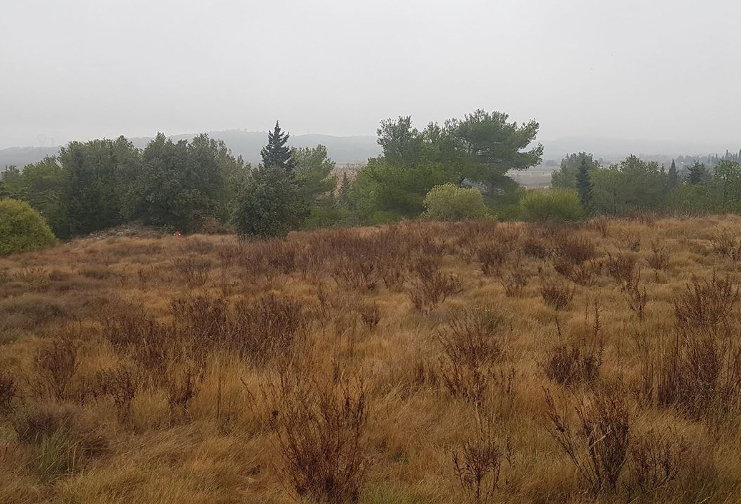 Terrain - 1483m ² — photo 1
