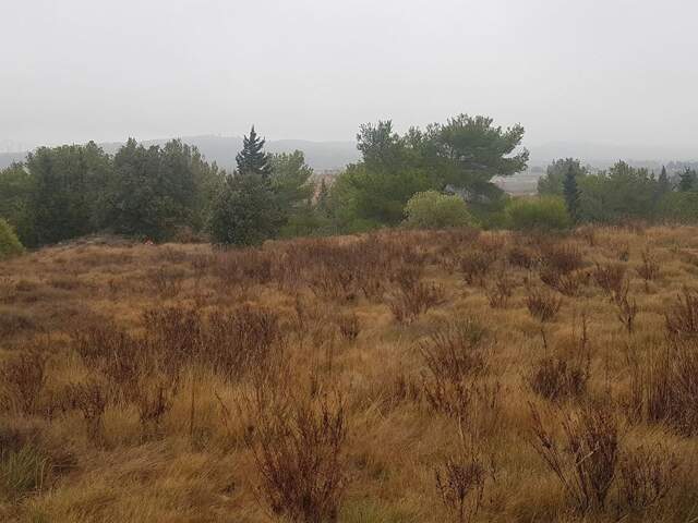 Terrain - 1483m ² — photo du bien