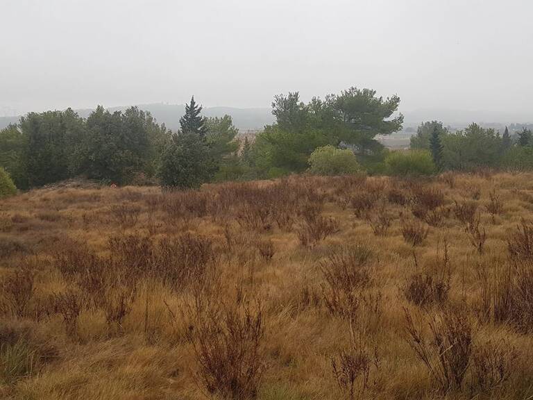 Terrain - 1483m ² — photo 1