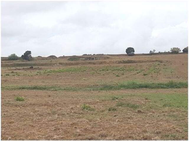Terrain - 83245m ² — photo du bien