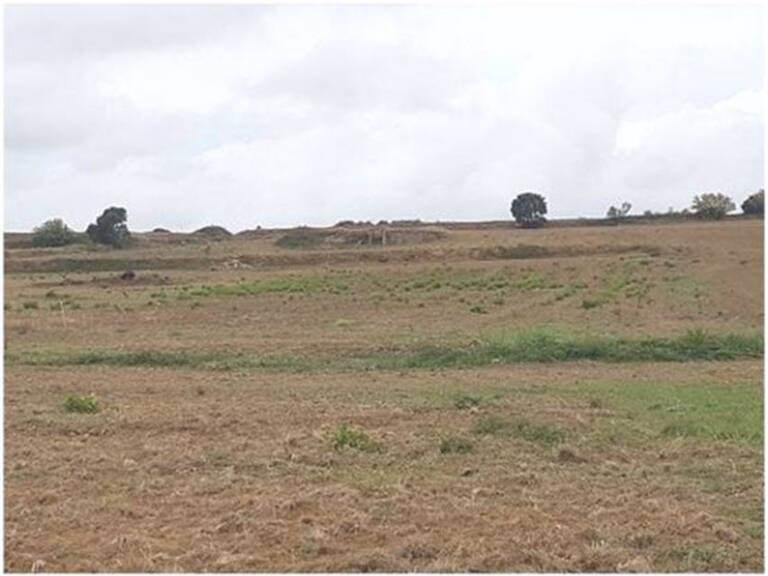 Terrain - 83245m ² — photo 1