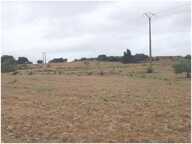 Terrain - 83245m ² — photo 2
