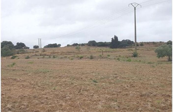 Terrain - 83245m ² — photo 2