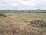 Terrain - 83245m ² — photo 3