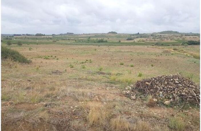 Terrain - 83245m ² — photo 3