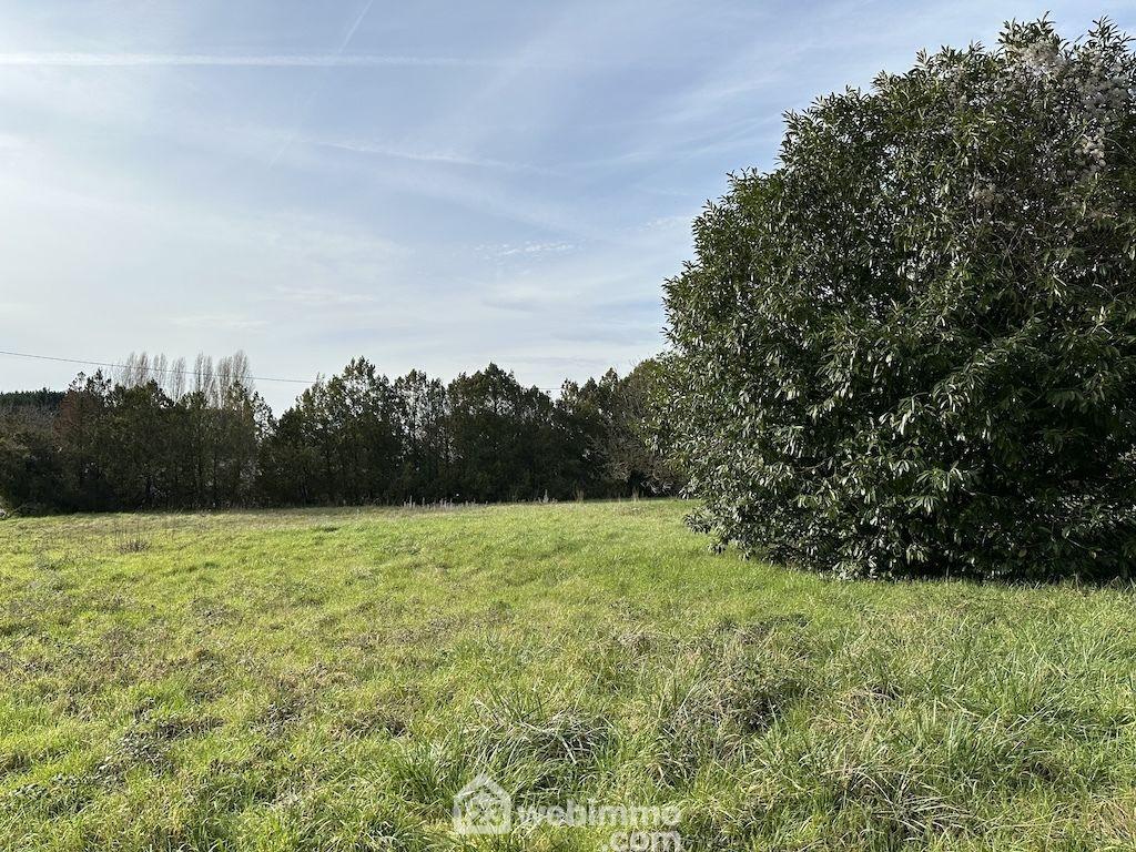 Terrain à bâtir - 2001m² - Mazé-Milon