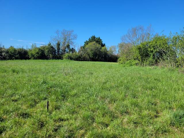 Terrain constructible — photo du bien