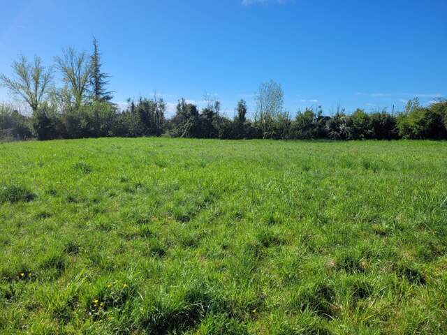 Terrain constructible — photo du bien