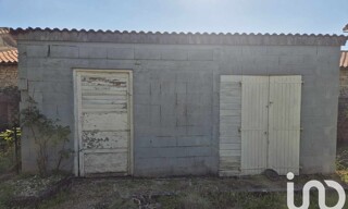 Photo N° 15
