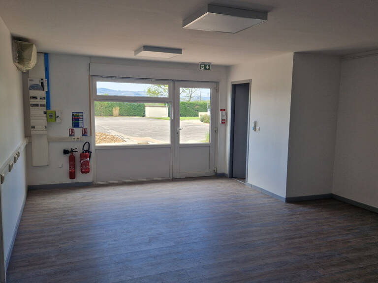 1 PIÈCE 35.8 M2 LOCAL PROFESSIONNEL - CHAPONOST — photo 1
