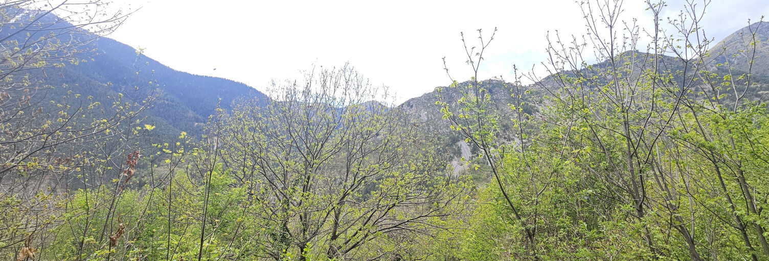 Terrain  2534 m² à vendre à Saint-Martin-Vésubie (06450)