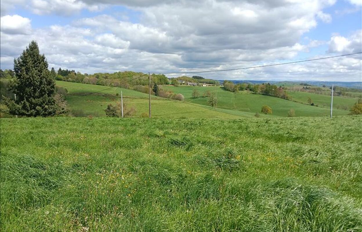 terrain  pièces 2500 m2 à vendre à Albussac (19380)