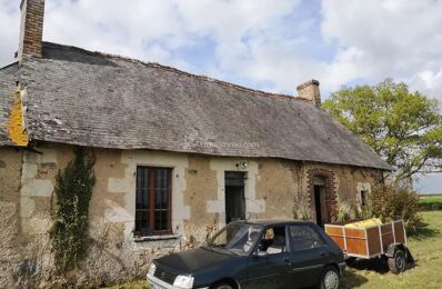 vente maison 49 000 € à proximité de Villedieu-le-Château (41800)