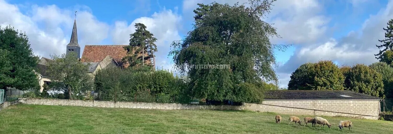 Terrain  4187 m² à vendre à Bessé-sur-Braye (72310)