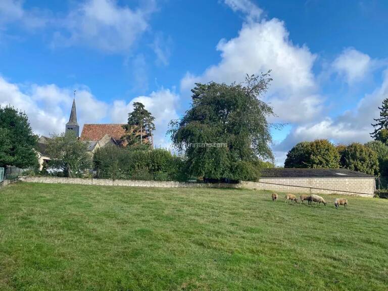Très beau terrain constructible à quelques minutes de BESSÉ SUR BRAYE — photo 1