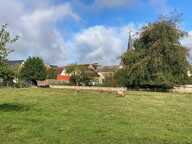 Très beau terrain constructible à quelques minutes de BESSÉ SUR BRAYE — photo 3
