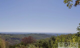 Photo N° 9