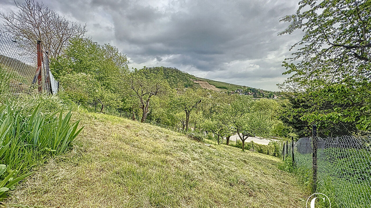 terrain  pièces 645 m2 à vendre à Wangen (67520)