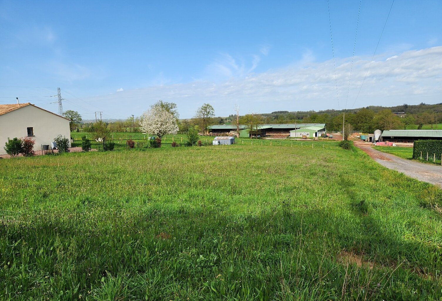 Terrain — photo 1