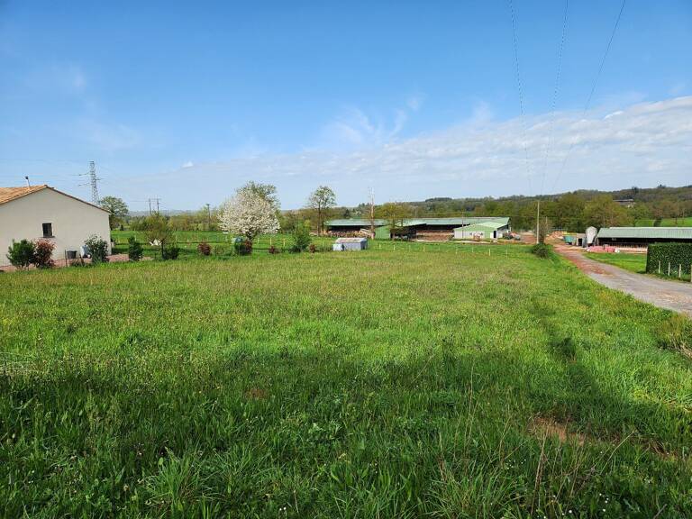 Terrain — photo 1