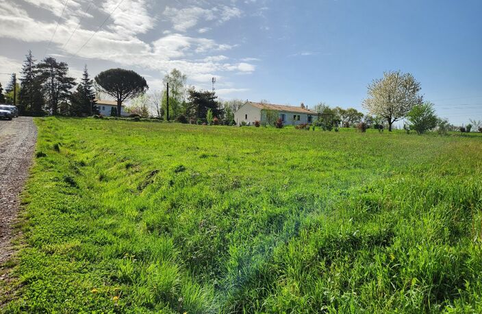 Terrain — photo 4