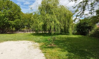 Photo N° 6