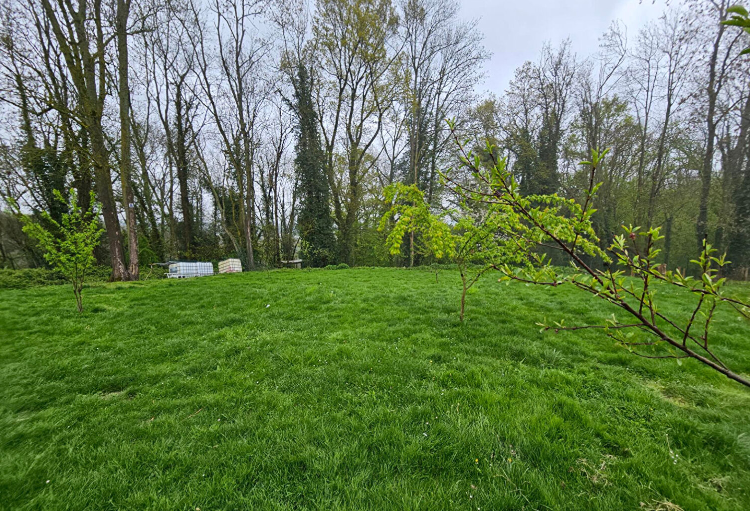 Terrain à Bâtir 827m² - MOUROUX — photo 1