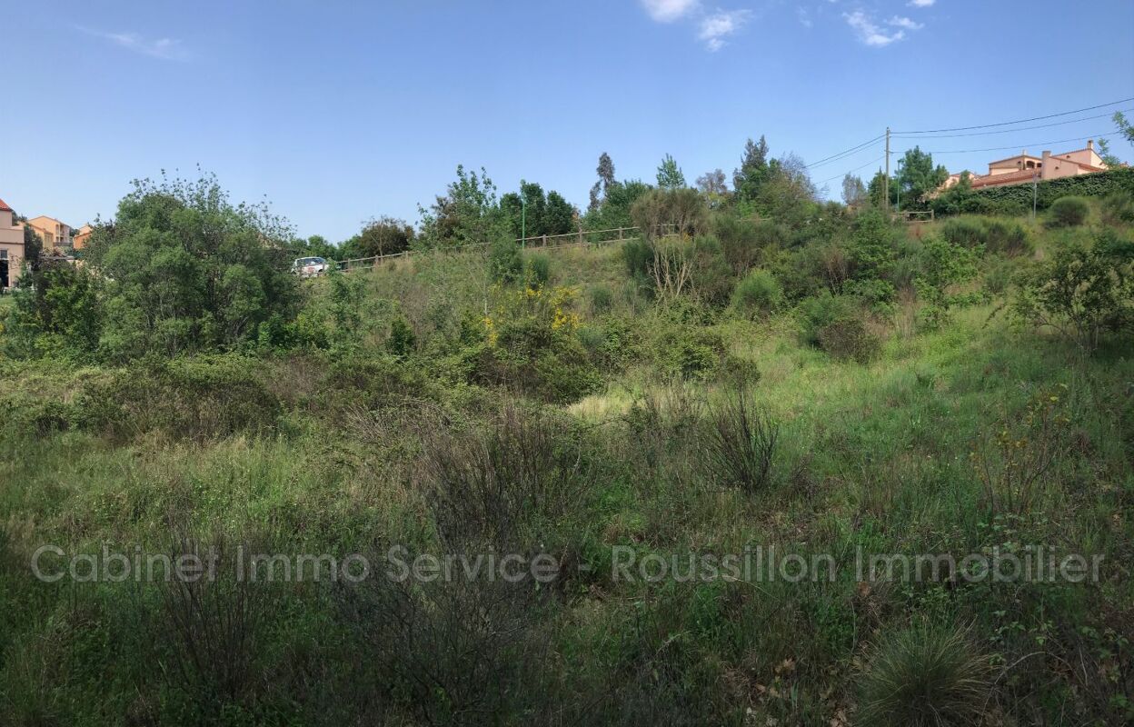 terrain  pièces 1000 m2 à vendre à Maureillas-Las-Illas (66480)